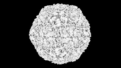 3D CG rendered image of scientifically accurate Hepatitis A Virus Capsid based on PDB : 4QPI (surface style - Occlusion)