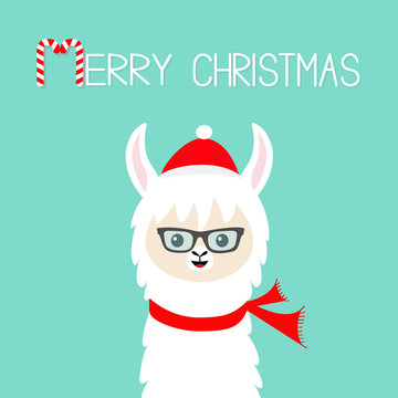 Merry Christmas. Llama Alpaca Baby Face Wearing Sun Glassess. Santa Red Hat, Scarf. Happy New Year. Cute Cartoon Funny Kawaii Character. Greeting Card Print. Flat Design. Blue Background.