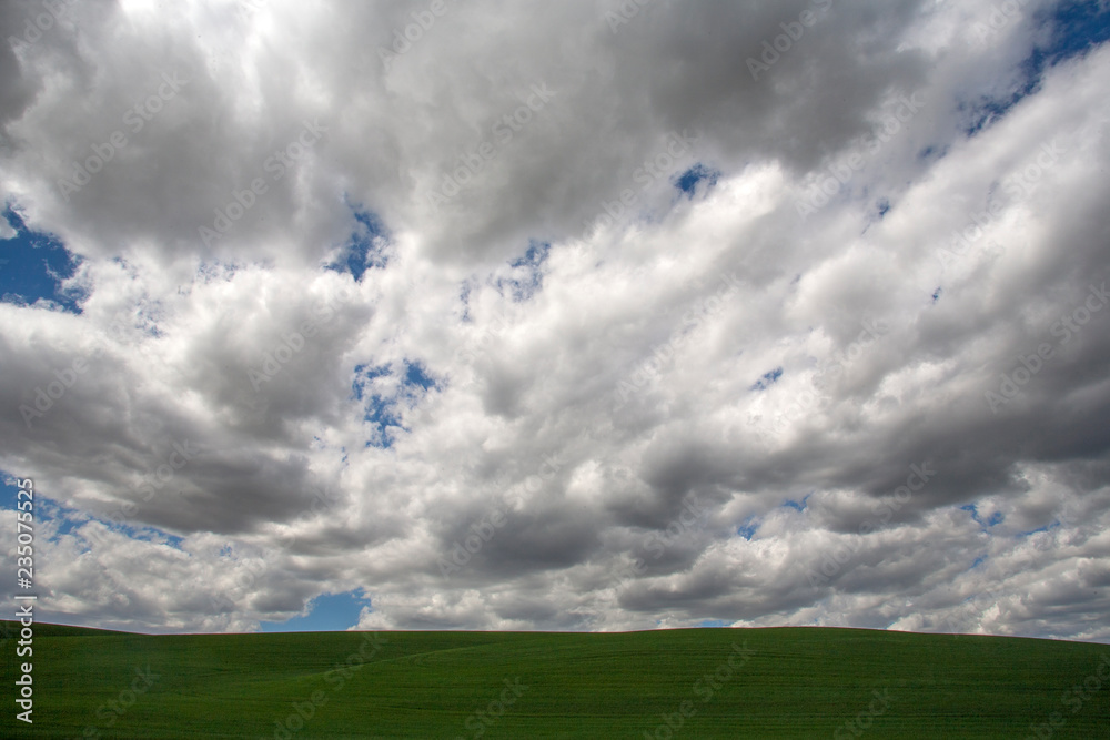 Sticker green field and cloud