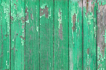 Fototapeta na wymiar Shabby wooden painted background from boards of green color.