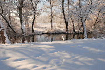 stream in snowy forest