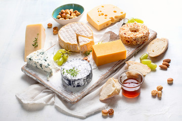 Different kinds of cheeses