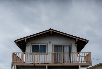 bird on the roof