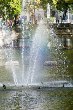 Fontaine,jardin de la fontaine à Nîmes.