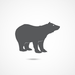 Obraz na płótnie Canvas Bear flat icon