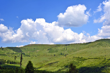 Fototapeta na wymiar Summer green landscape in Levoca mountains, Slovakia