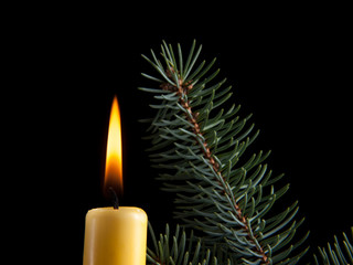 Candle and fir branch on black background