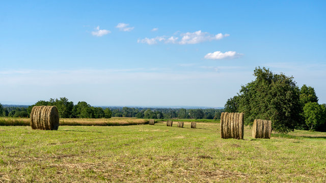 Country landscape near Boves, Piedmont