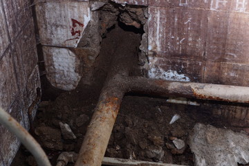 home repairs. mold in the bathroom.