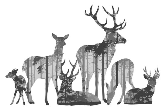 herd of deer silhouette. Inside is a pine forest. Vector illustration, isolated object.