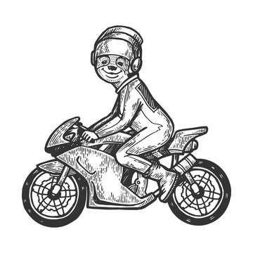 Sloth biker animal on motorbike engraving vector illustration. Scratch board style imitation. Black and white hand drawn image.