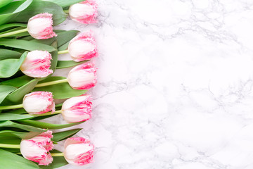 Pink tulips on white marble background. Spring and celebration concept. Copy space