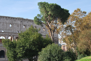 Il Colosseo a Roma