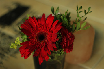 bright red gerbera with green leaves in a glass of water