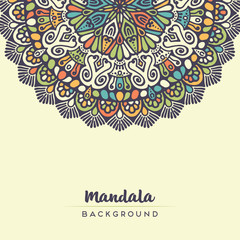 Indian floral paisley medallion pattern