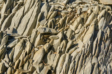 Mountain stone with a natural texture as a design concept. Cracks created by nature on the surface of the stone with a natural color scheme, create a natural textured background. Texture for design .