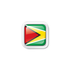 Guyana flag, vector illustration on a white background