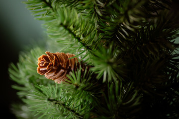 Fake plastic pine cone