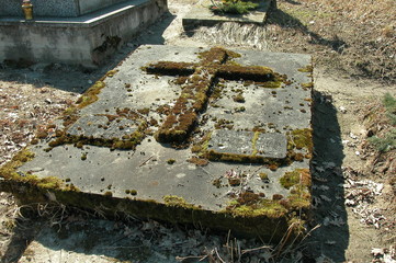 Boby © M. G. Koperkiewicz