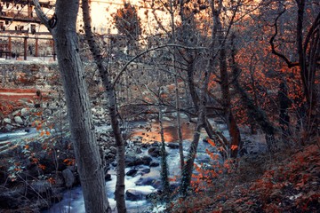 Arroyo en larga exposición un día de otoño 