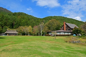 広々とした芝生広場の情景