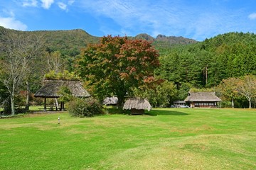 Obraz premium 広々とした芝生広場の情景