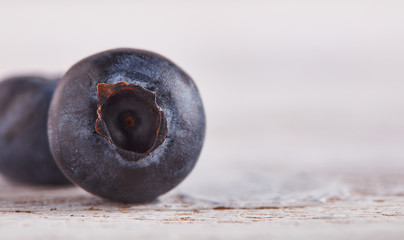 Macro shot of blueberry, blurred white background 