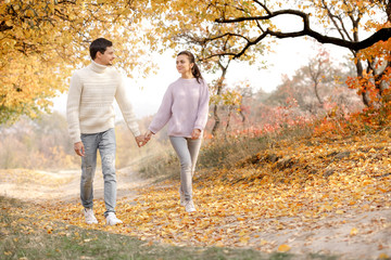 Obraz premium Couple in love in the autumn leaves
