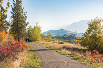 Fototapeta na wymiar Kettle Valley Rail Trail near Penticton with view of vineyards and Munson Mountain