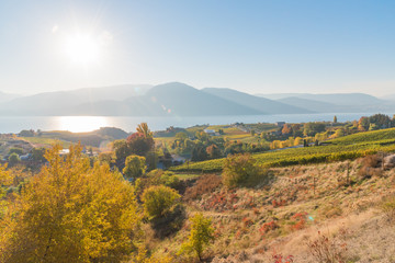 Naramata Bench wineries, Okanagan Lake and mountains in October