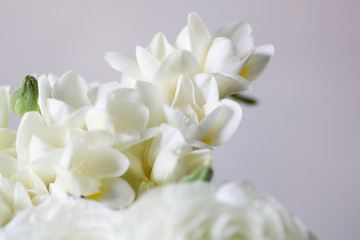 Obraz na płótnie Canvas soft focus on a detail of wedding bouquet with white fresia
