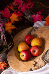 Malus sylvestris, the tasty European crab apple,