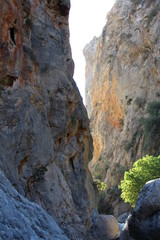 Fototapeta na wymiar rock in canyon