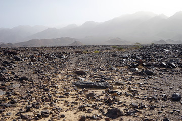 Rock desert and mountain