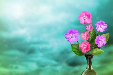 Beautiful live petunia bouquet bouquet in ceramic vase with empty on left on colored sky with clouds background.