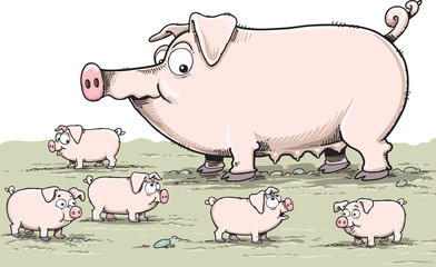 Mother pig and piglets