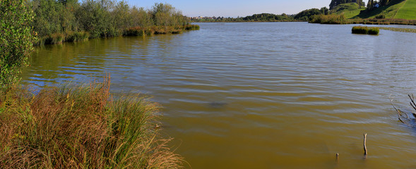 Egglburger See mit Schilf, Ebersberg, Bayern, Deutschland, Europa, Panorama