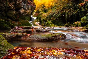 Gordijnen Autumn in the source of Urederra river in Urbasa mountain range, Navarre, Spain © Noradoa