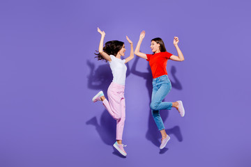 Full length body size portrait of two nice lovely funny funky ca