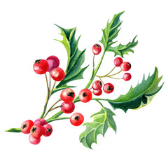 Watercolor wreath Christmas card with a sprig of Holly and berries. Illustration