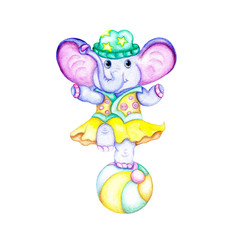 Watercolor isolated illustration of elephant