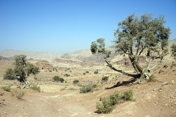 mountain region