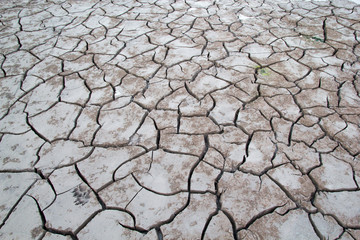 Soil Crack in River