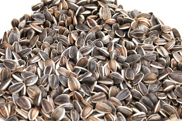 sunflower seed in heap on white background