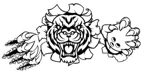 Tiger Holding Bowling Ball Breaking Background