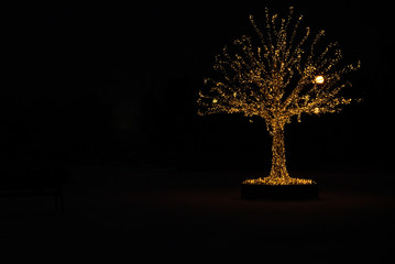 Gold lights Christmas Tree