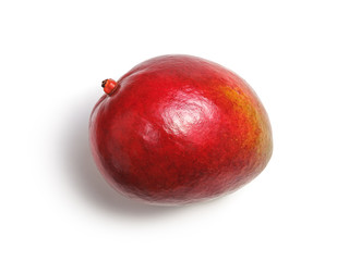 mango with shadow on white isolated