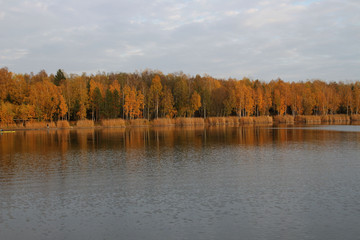 Der See in Zschornewitz