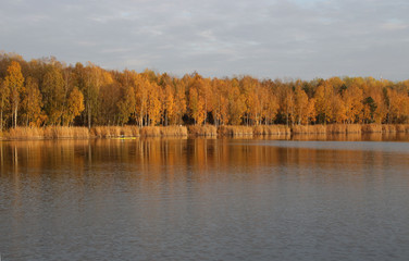Der Zschornewitzer See