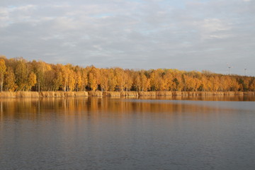 Obraz premium Der Zschornewitzer See